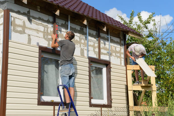 Best Steel Siding Installation  in Rogersville, MO