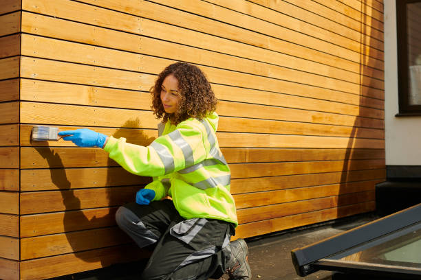 Affordable Siding Repair and Maintenance Services in Rogersville, MO